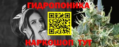 2c-b Камышлов
