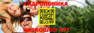 стафф Канаш