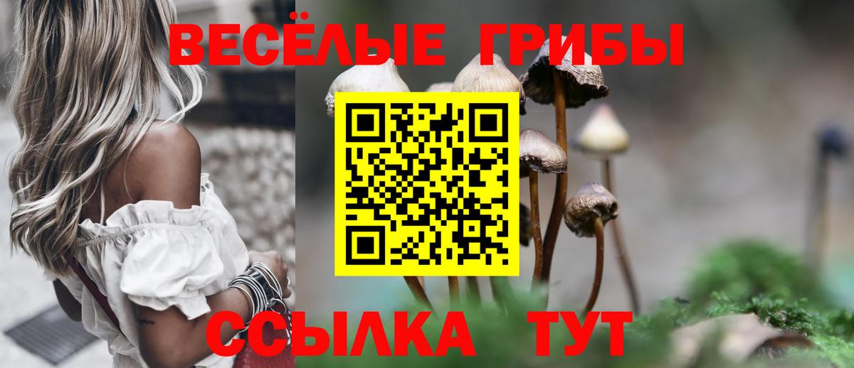 Галлюциногенные грибы MAGIC MUSHROOMS Иваново
